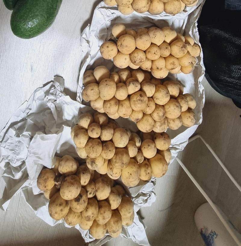 Kokosan / duku 500 gram
